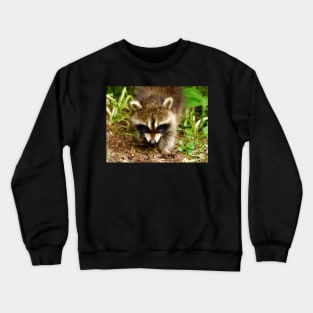 Raccoon face, Angry bear Crewneck Sweatshirt